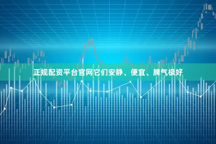 正规配资平台官网它们安静、便宜、脾气极好