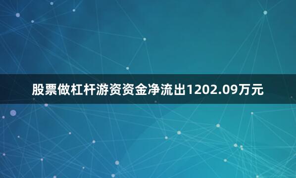 股票做杠杆游资资金净流出1202.09万元